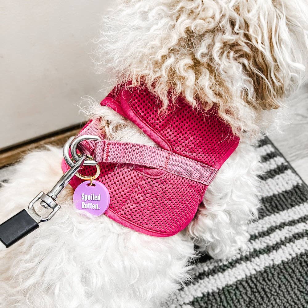 Gus & Co - Dog Tag and Keychain Set Wholesale