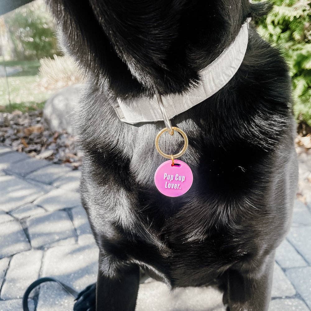 Gus & Co - Dog Tag and Keychain Set Wholesale