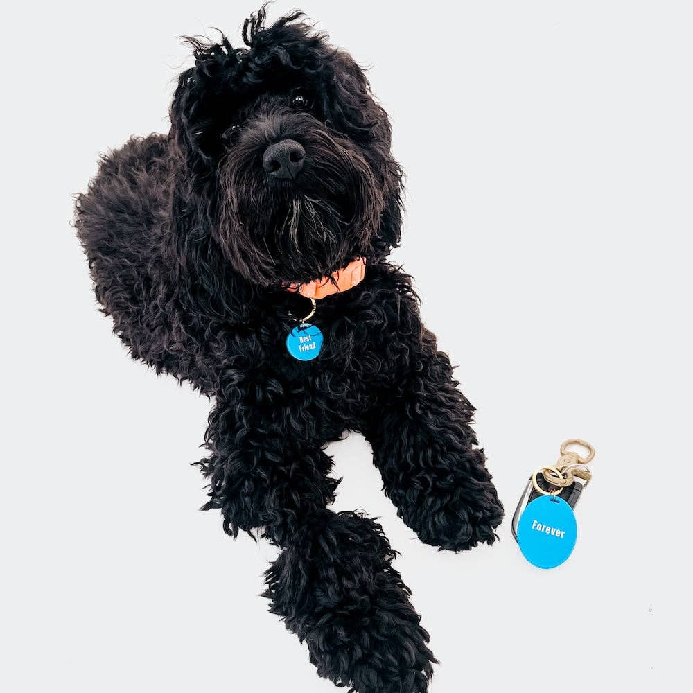 Gus & Co - Dog Tag and Keychain Set Wholesale