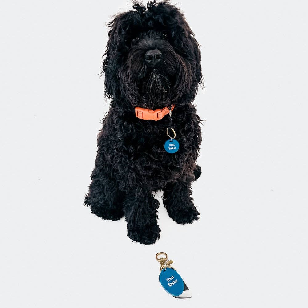 Gus & Co - Dog Tag and Keychain Set Wholesale