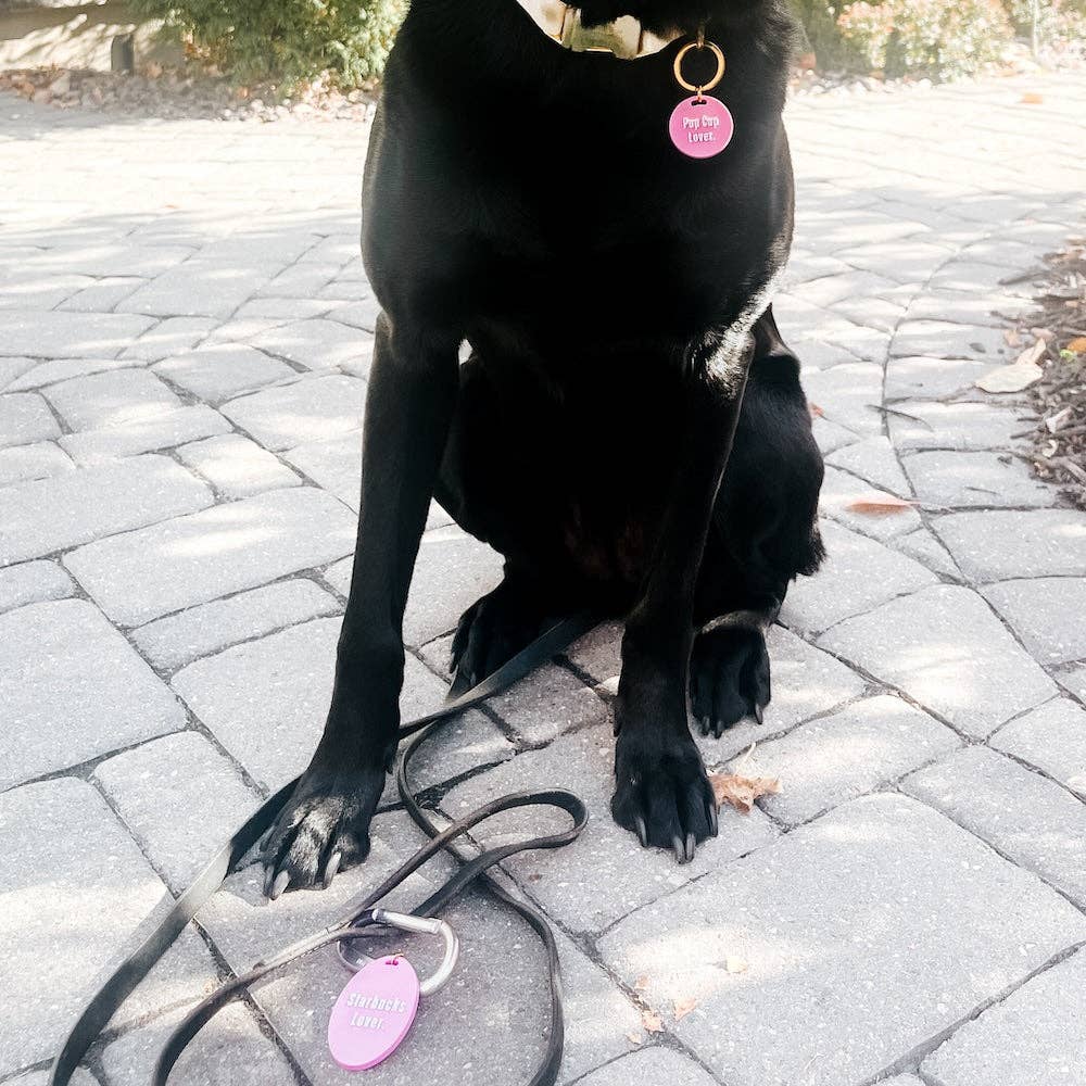 Gus & Co - Dog Tag and Keychain Set Wholesale