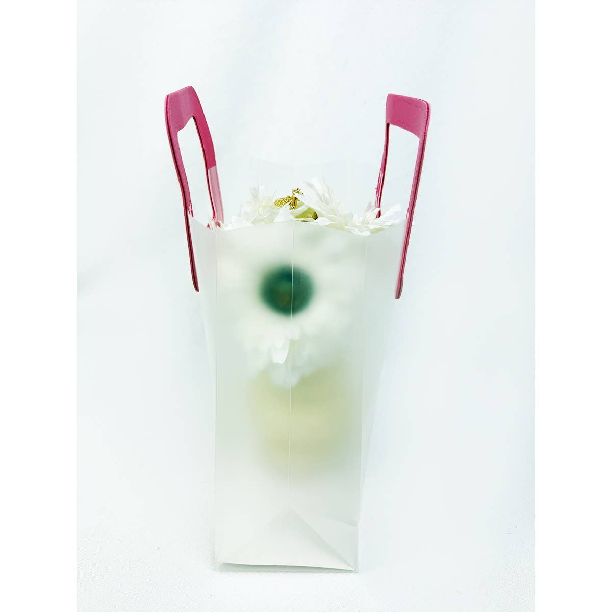 Reusable Transparent Gift Bag