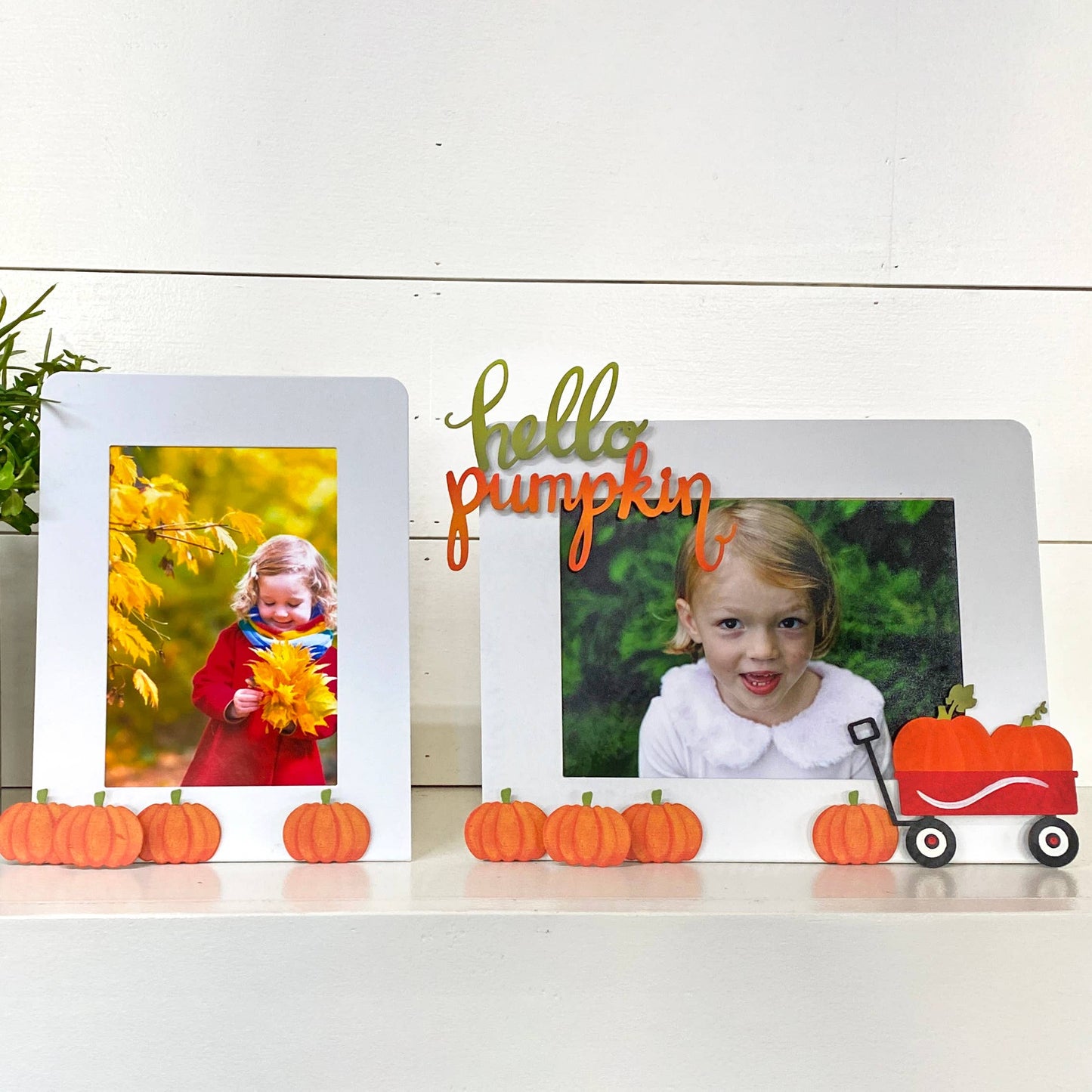 Pumpkin Magnets S/4, Fall Decor